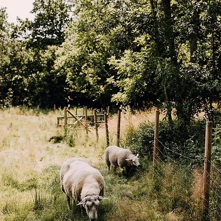 Engo Gard & Restaurant Hotel *