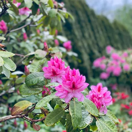 Engo Gard & Restaurant